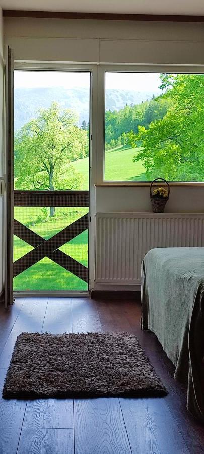 Gorski Widok Karpacz Apartamenty I Pokoje- Salon Kominkowy Homestay Karpacz