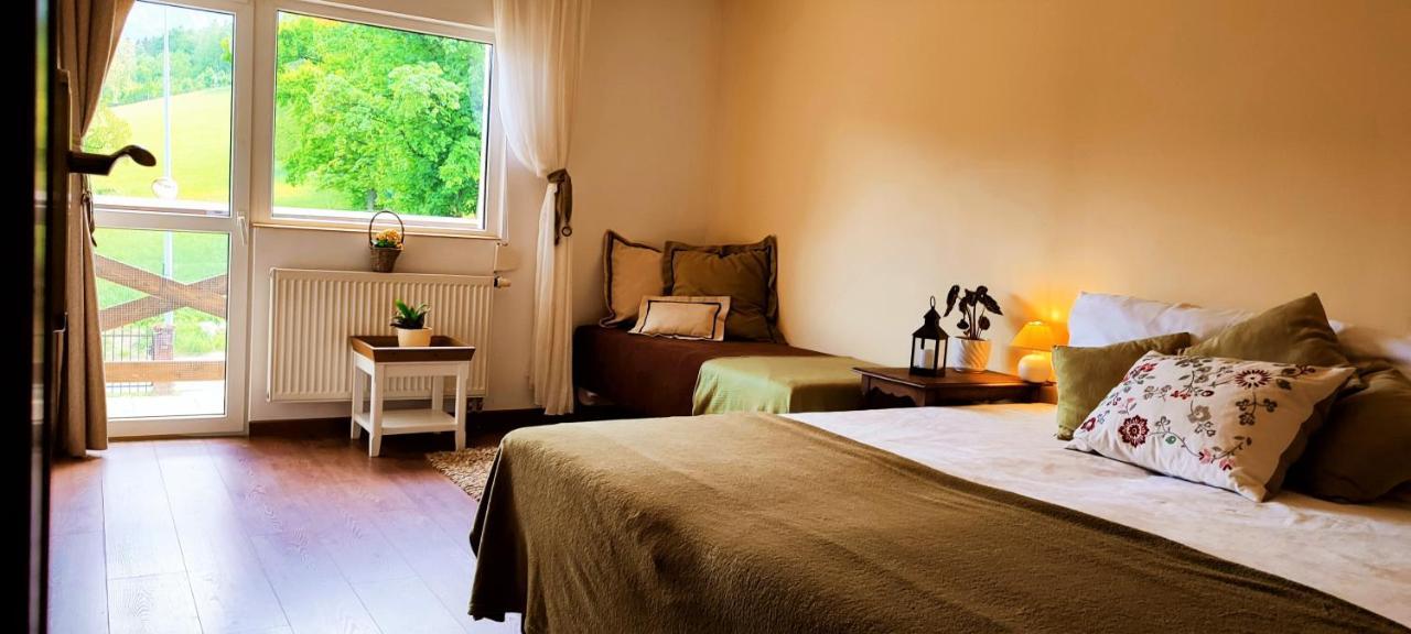 Homestay Gorski Widok Karpacz Apartamenty I Pokoje- Salon Kominkowy Karpacz