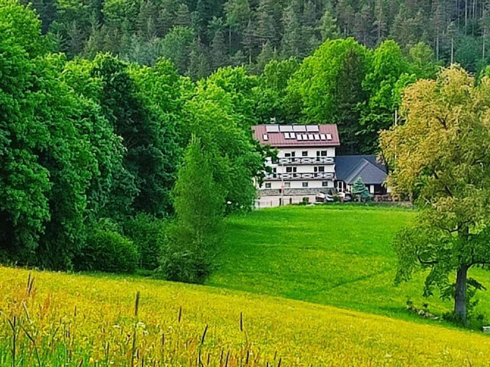 Gorski Widok Karpacz Apartamenty I Pokoje- Salon Kominkowy Homestay Karpacz