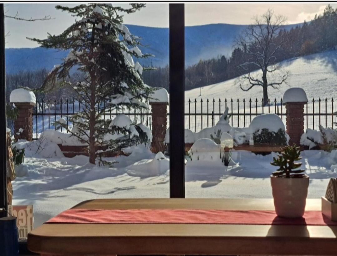 Gorski Widok Karpacz Apartamenty I Pokoje- Salon Kominkowy Homestay *